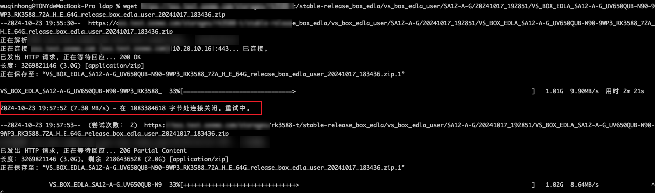 image-20241023203251840