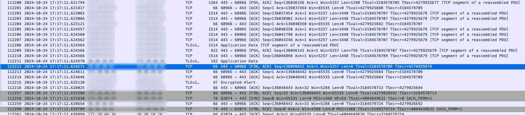 image-20241024172843510