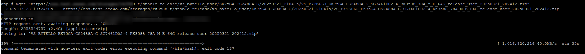 image-20250323132501408