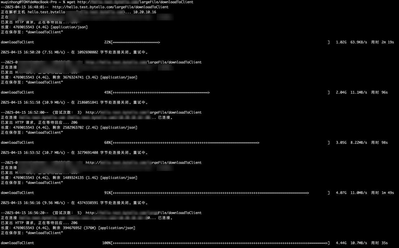 image-20250415170420210