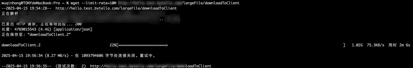 image-20250416191213827